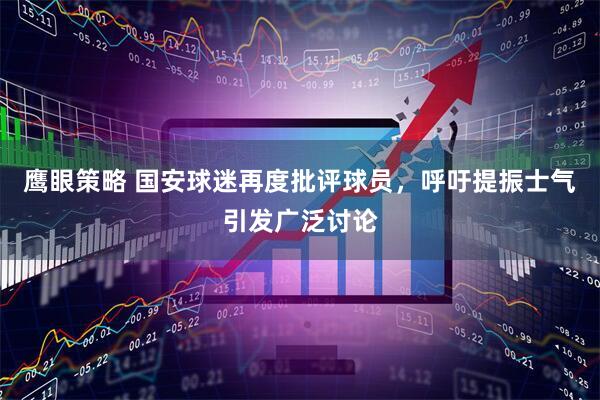 鹰眼策略 国安球迷再度批评球员，呼吁提振士气引发广泛讨论