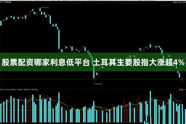 股票配资哪家利息低平台 土耳其主要股指大涨超4%