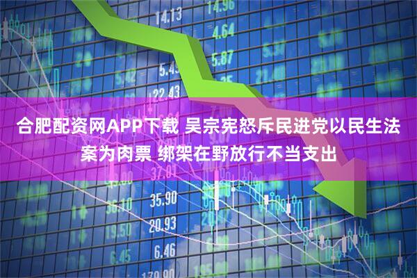合肥配资网APP下载 吴宗宪怒斥民进党以民生法案为肉票 绑架在野放行不当支出