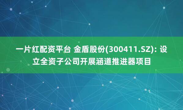 一片红配资平台 金盾股份(300411.SZ): 设立全资子公司开展涵道推进器项目